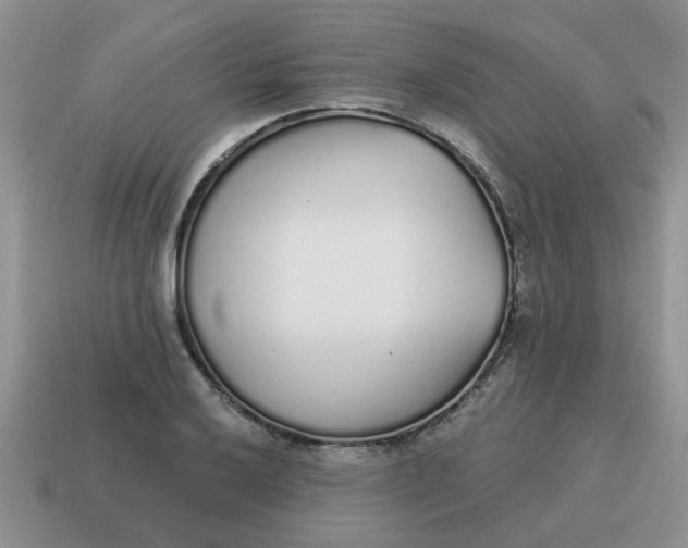 X0000114571032200911091211