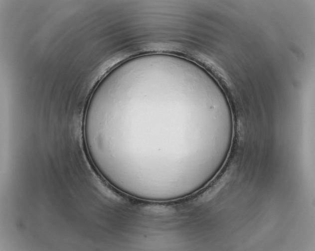 X0000114571033200911091211