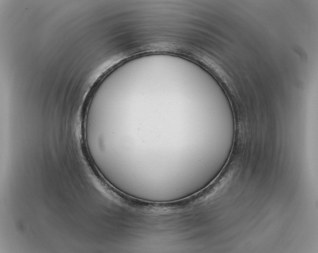 X0000114571034200911091211