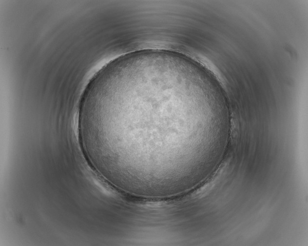 X0000114571035200911091211