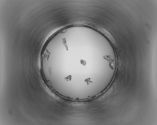 X0000114571036200911091211