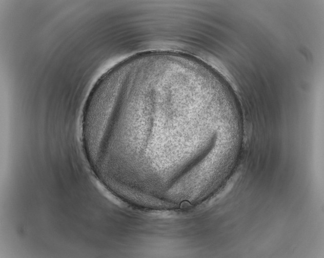 X0000114571037200911091211