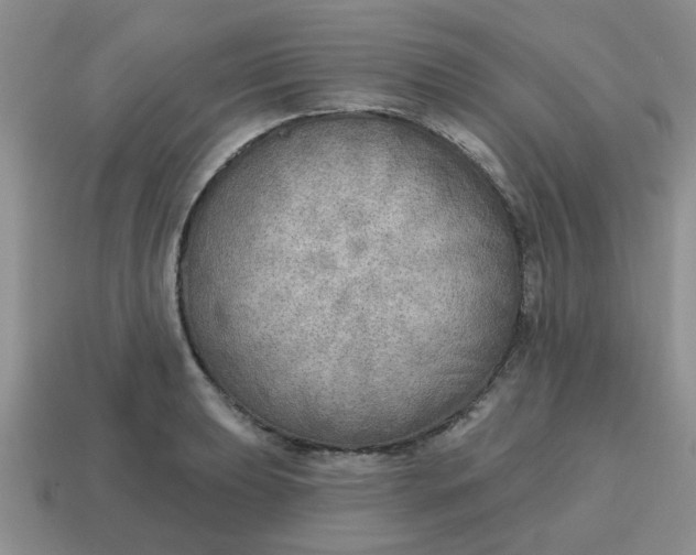 X0000114571039200911091211