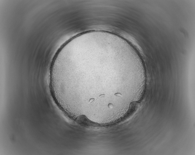 X0000114571040200911091211