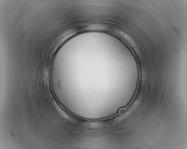 X0000114571041200911091211