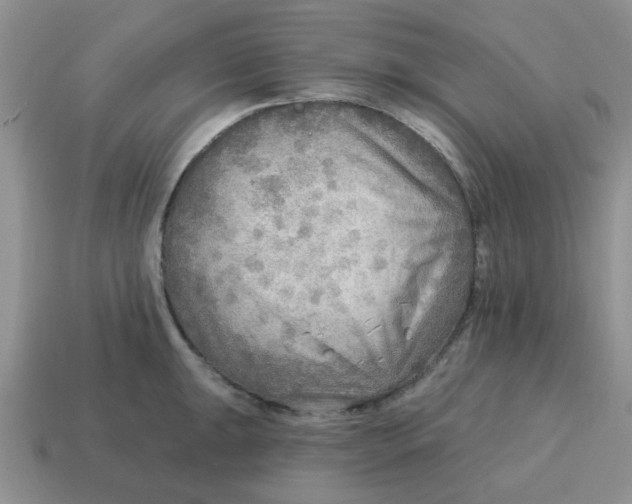 X0000114571047200911091211