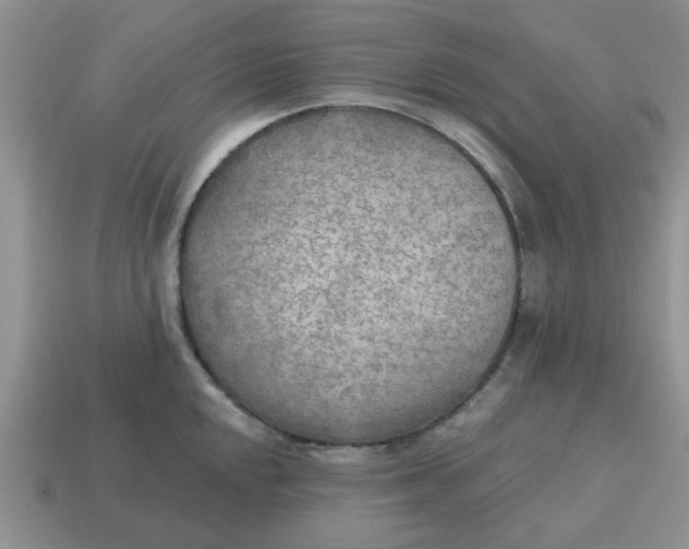 X0000114571048200911091211