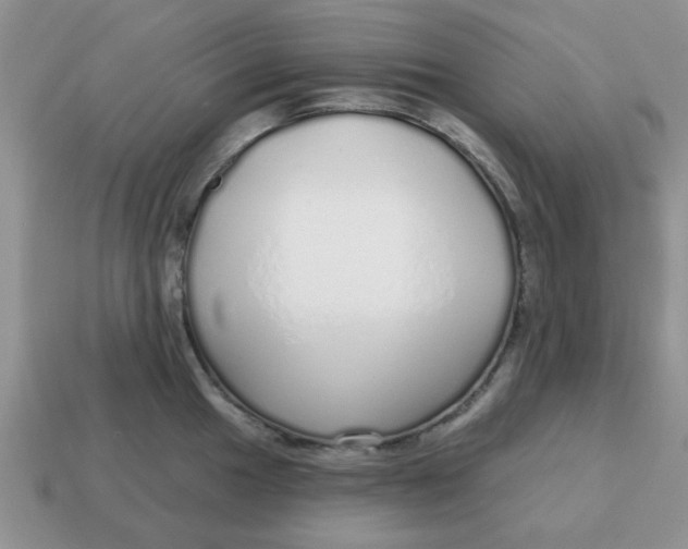 X0000114571049200911091211