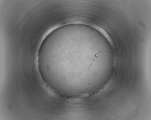 X0000114571051200911091211