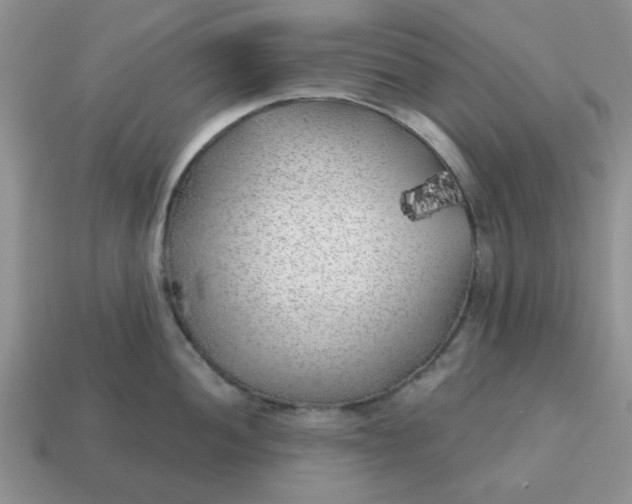 X0000114571052200911091211