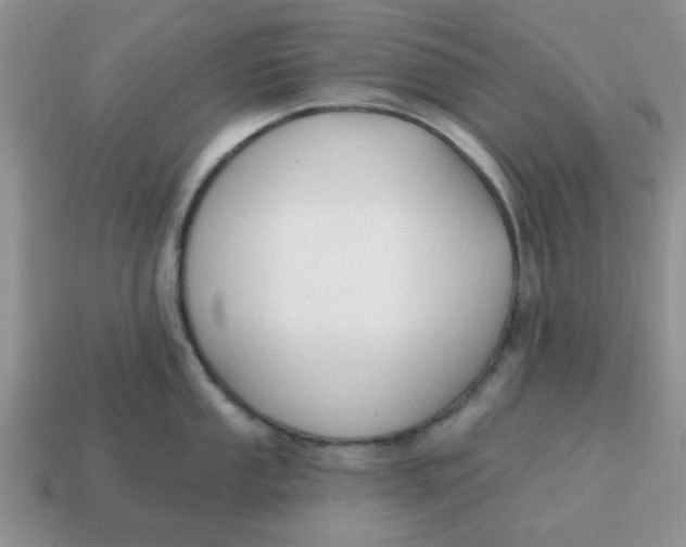 X0000114571053200911091212