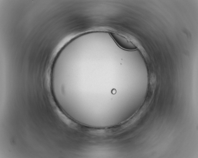 X0000114571054200911091212