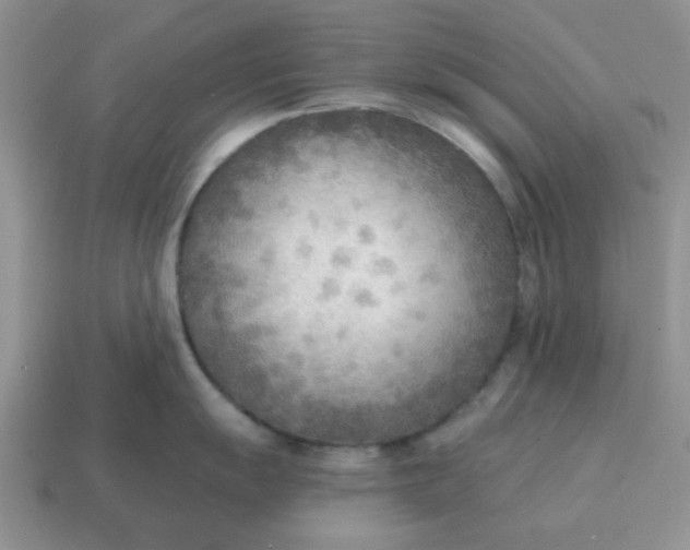 X0000114571055200911091212