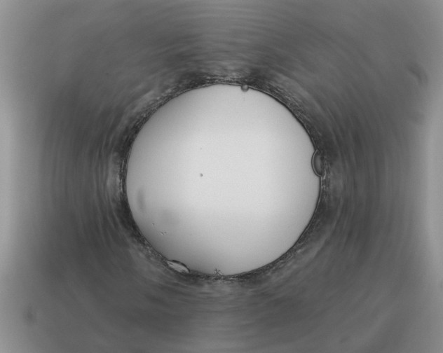 X0000114571058200911091211