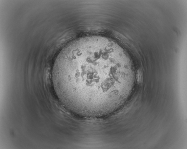 X0000114571059200911091211