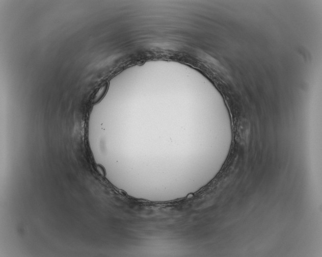 X0000114571061200911091211