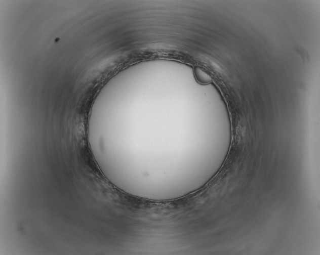 X0000114571062200911091211