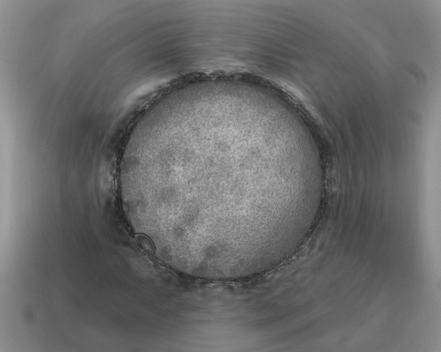 X0000114571063200911091211