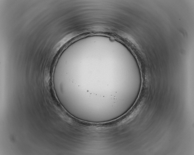 X0000114571065200911091211