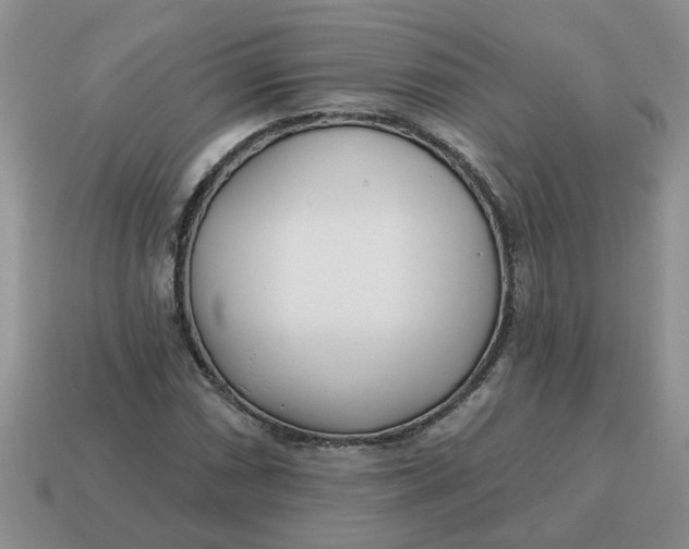 X0000114571066200911091211