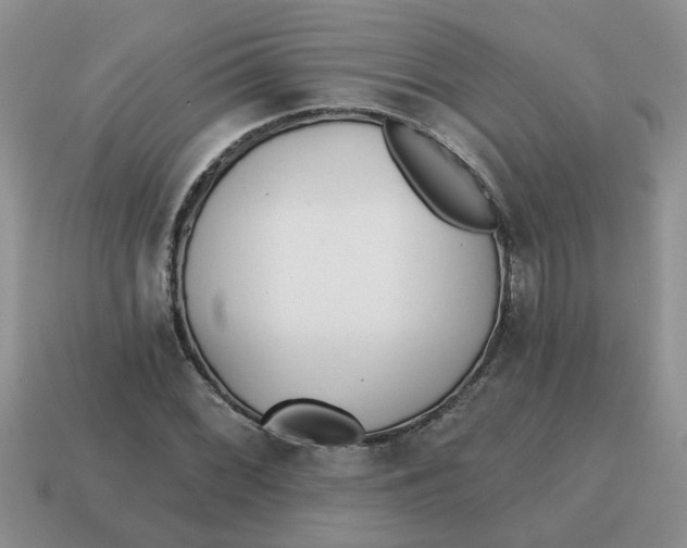 X0000114571068200911091211