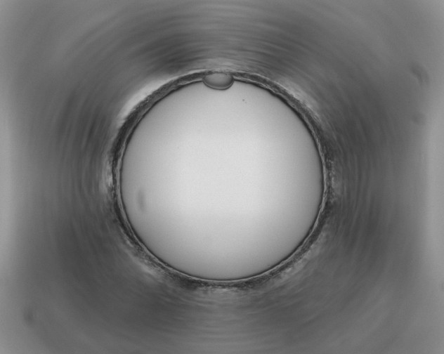 X0000114571070200911091211