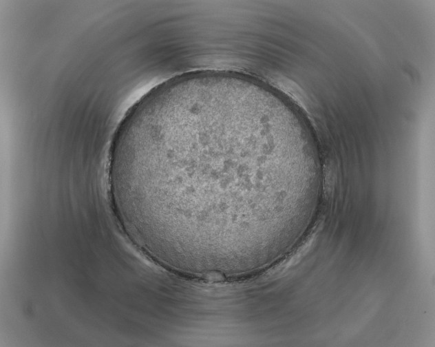 X0000114571071200911091211