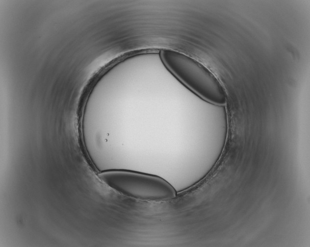 X0000114571072200911091211