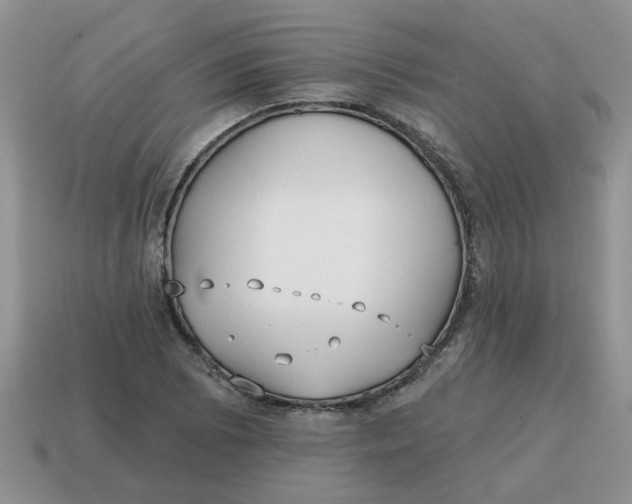 X0000114571073200911091211