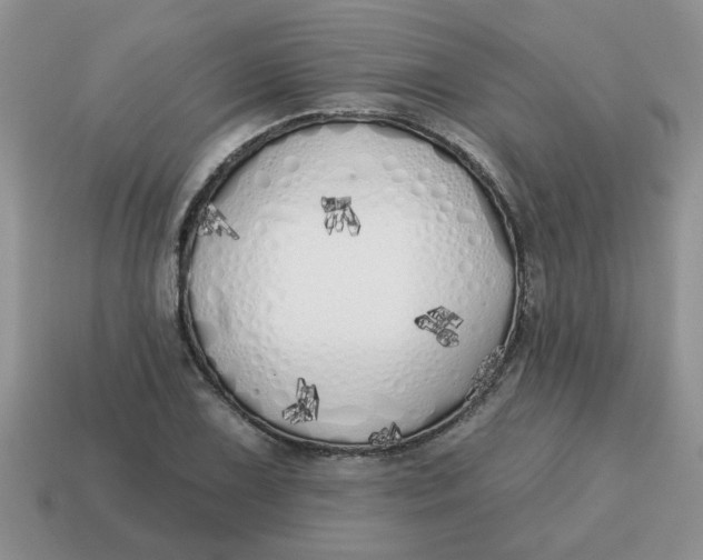 X0000114571075200911091211