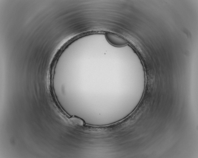 X0000114571076200911091211