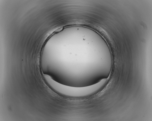 X0000114571081200911091211