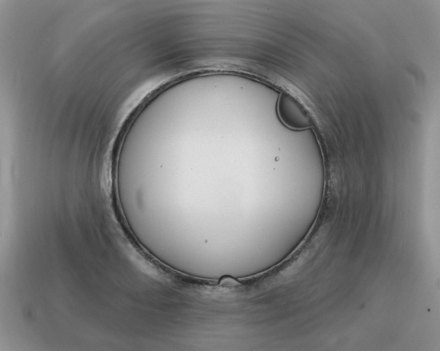 X0000114571082200911091211