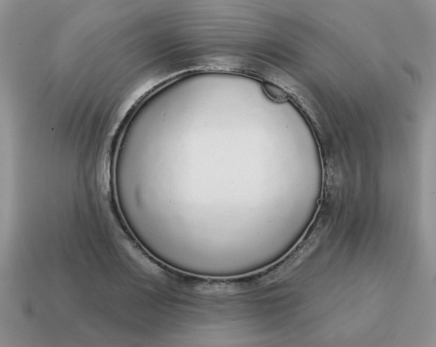 X0000114571083200911091211