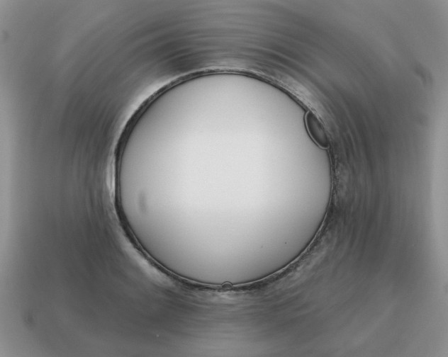 X0000114571084200911091211