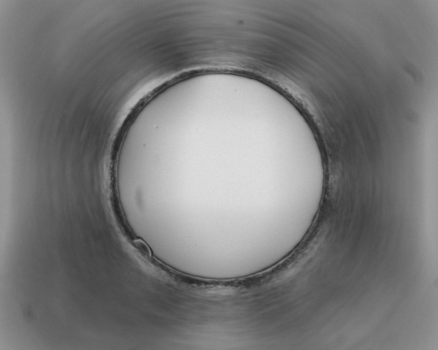 X0000114571085200911091211