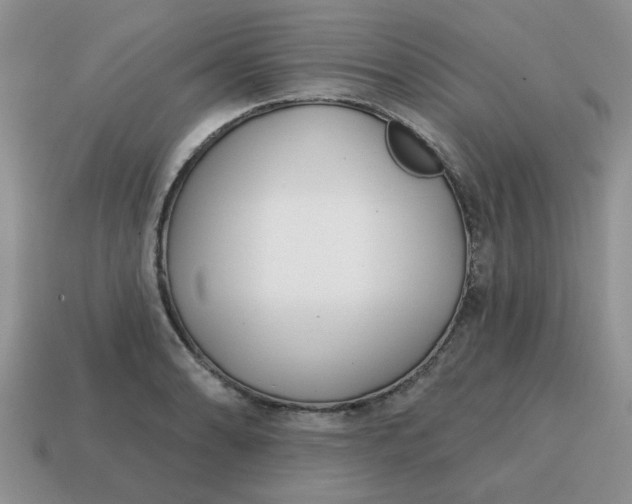 X0000114571086200911091211