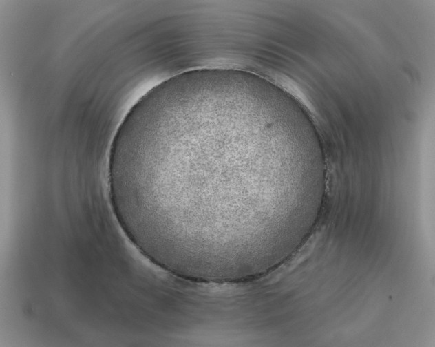 X0000114571087200911091211