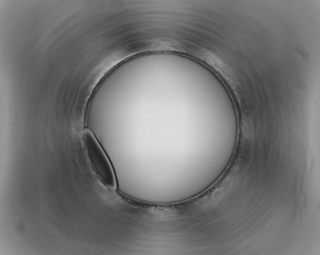 X0000114571089200911091211