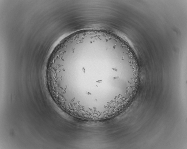 X0000114571091200911091210