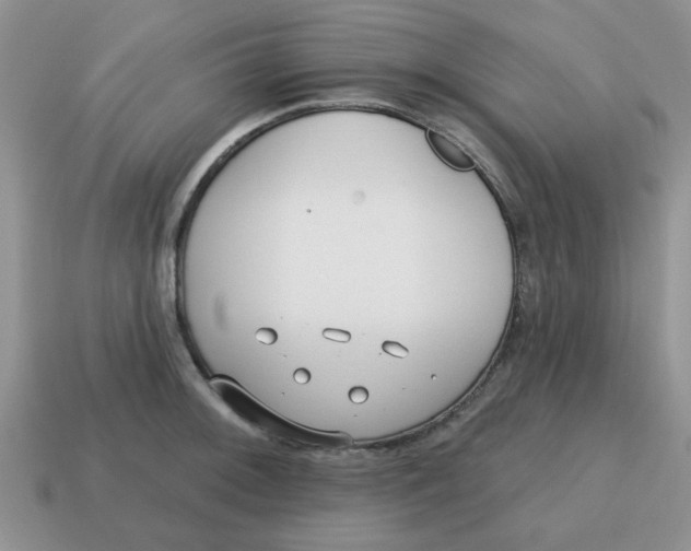 X0000114571092200911091210