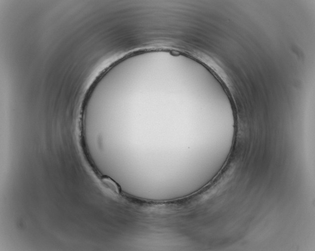 X0000114571093200911091210