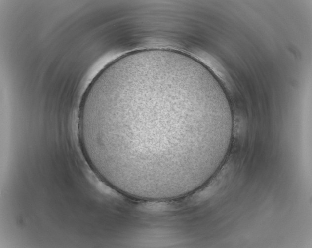 X0000114571094200911091210