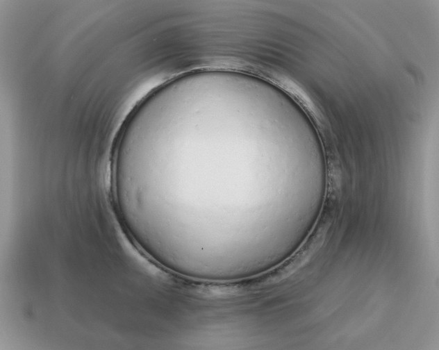 X0000114571095200911091210