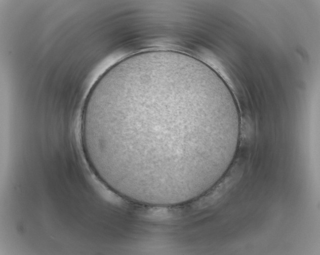 X0000114571098200911091210