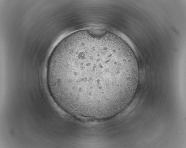 X0000114571099200911091210