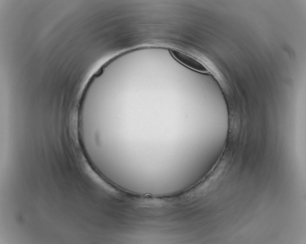 X0000114571100200911091210