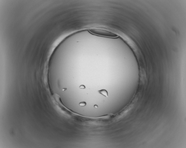 X0000114571102200911091210