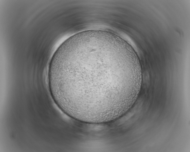 X0000114571103200911091210