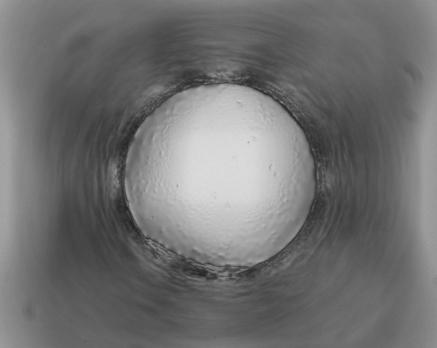 X0000114571106200911091210